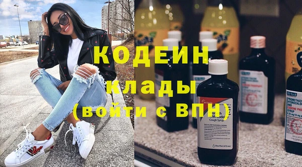 твердый Краснослободск