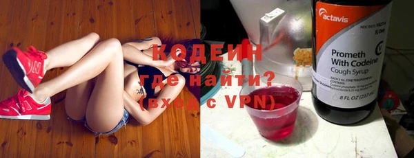 твердый Краснослободск