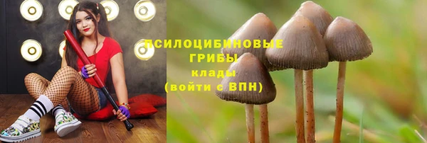 прущая мука Краснотурьинск