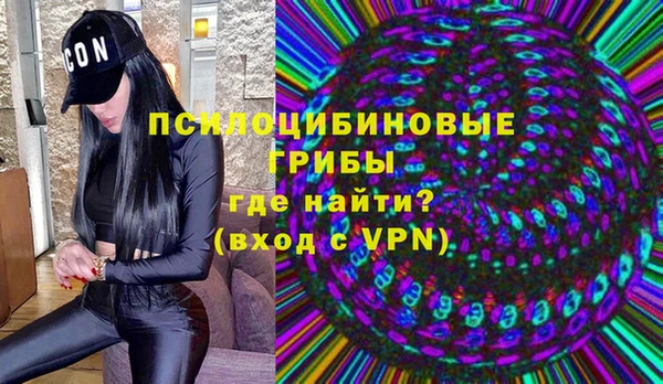 твердый Краснослободск