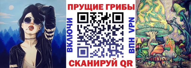 Псилоцибиновые грибы Psilocybe  что такое наркотик  Болохово 